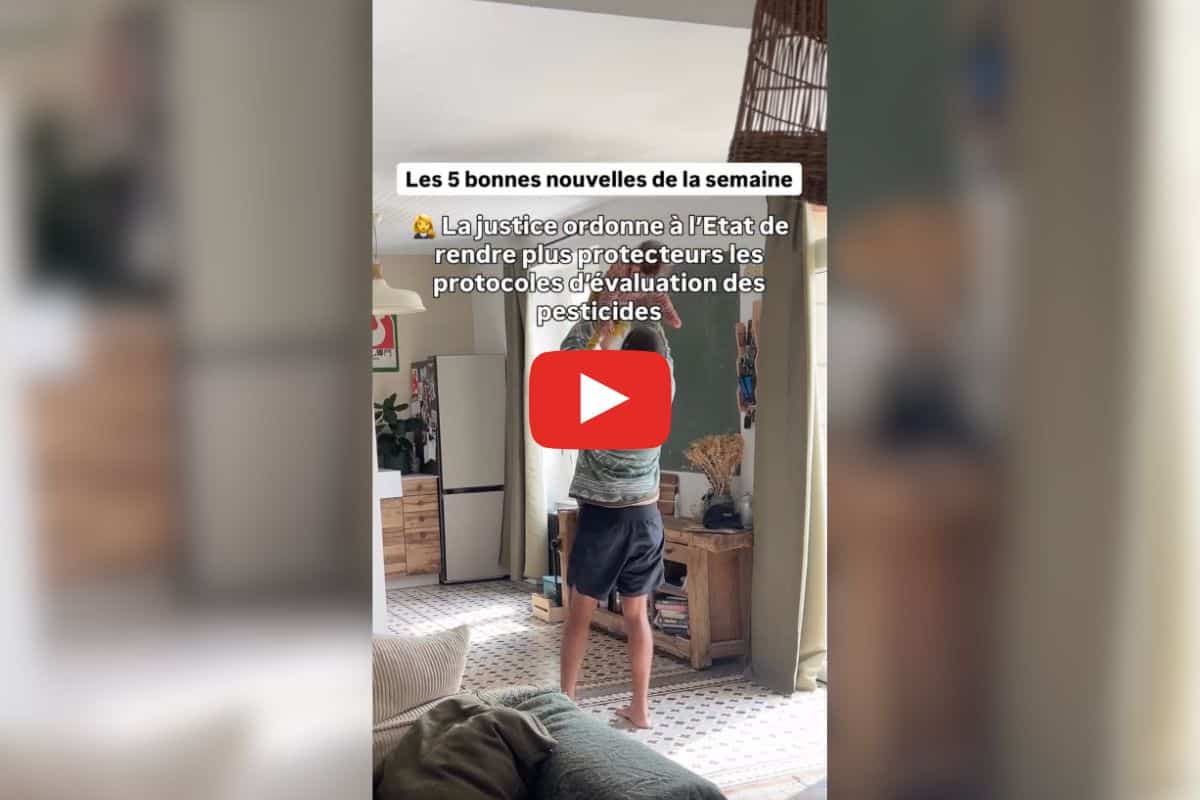 Retour réussi des bisons à Yellowstone, moins de déchets en Allemagne : les bonnes nouvelles de la semaine