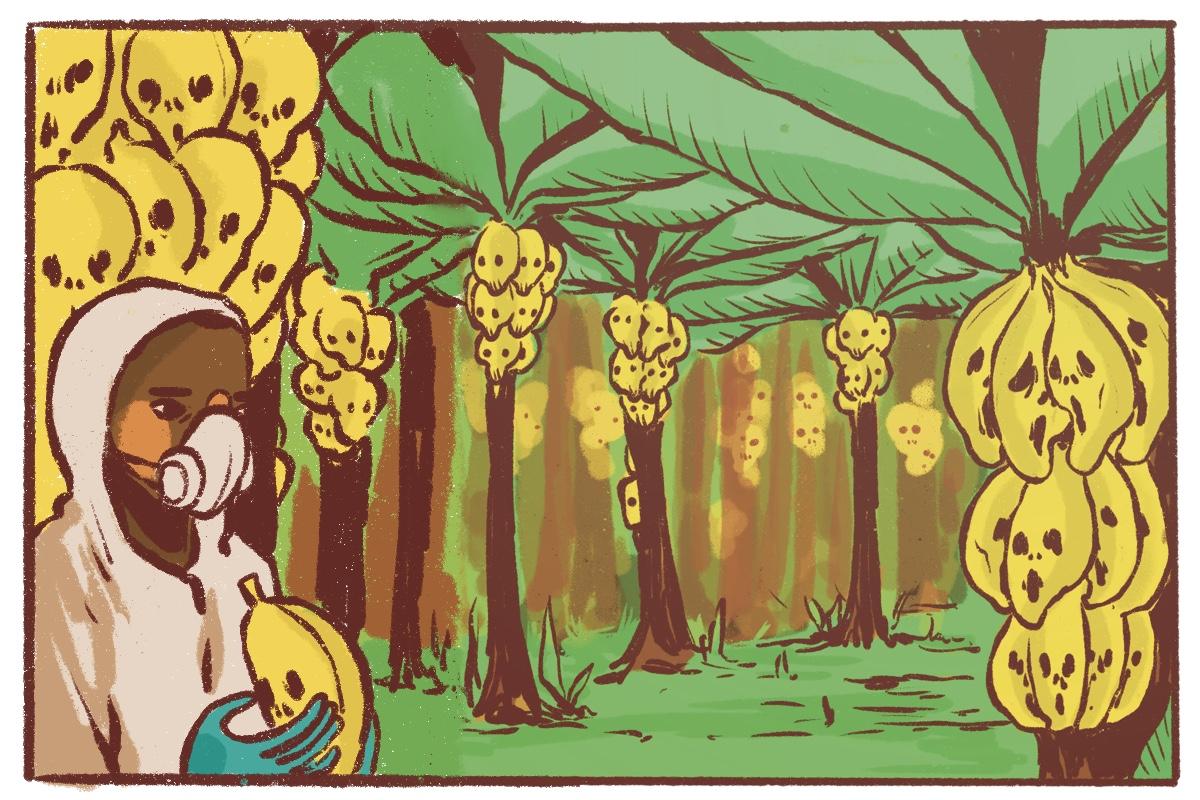 La justice prononce un non-lieu dans le «&nbsp;scandale sanitaire&nbsp;» de la pollution au chlordécone dans les Antilles