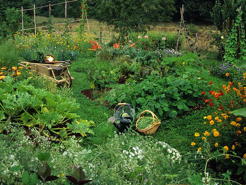 Une consultation publique pour faire entendre sa voix sur l’avenir de l’agriculture