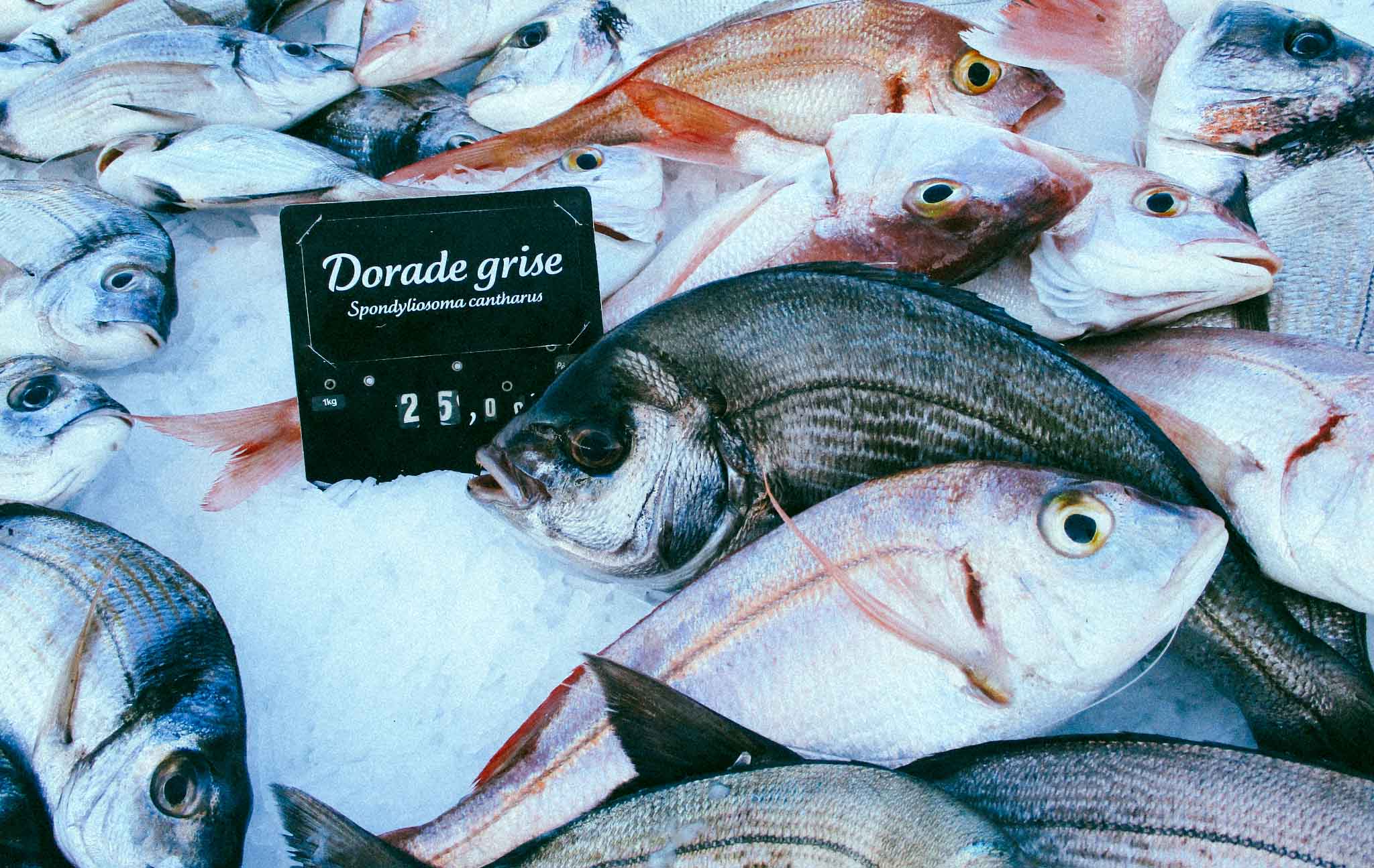 L’abyssale fraude à l&rsquo;étiquetage des poissons