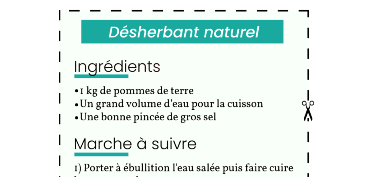 VendreDIY : le désherbant maison sans glyphosate
