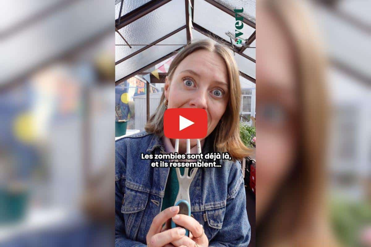 Ta mère nature part à la découverte des champignons zombies, ces surprenants (et flippants) alliés de l’agriculture