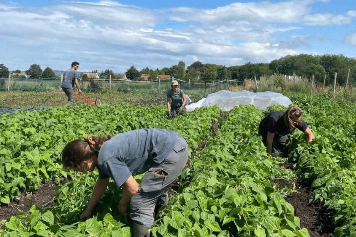 S’installer comme «néo-paysan», un parcours du combattant vital au renouvellement des générations