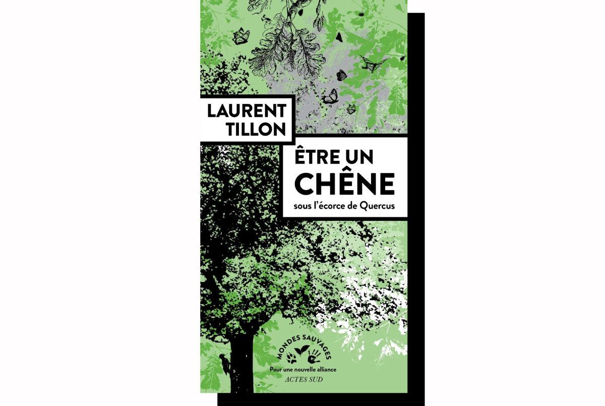 « Etre un chêne », haletant roman biologique en forêt de Rambouillet