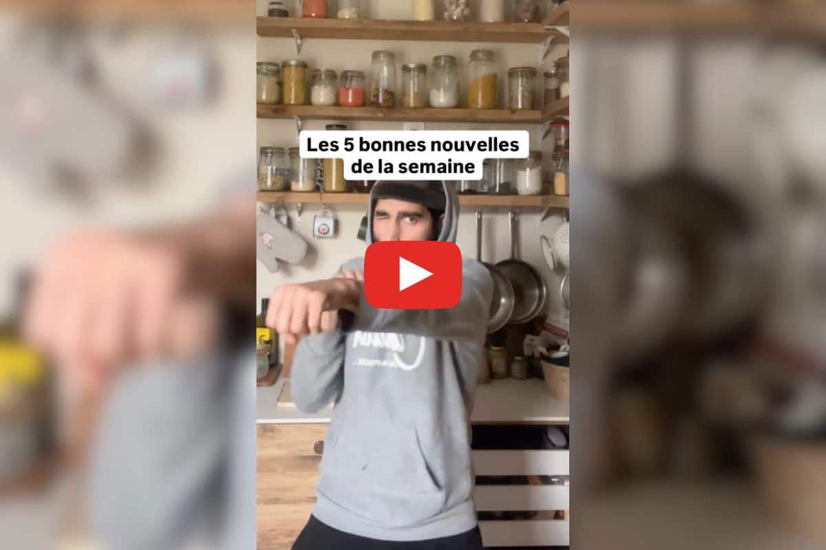 San Francisco lutte contre la malbouffe, une loi anti-fourrure animale en Pologne : les bonnes nouvelles de la semaine