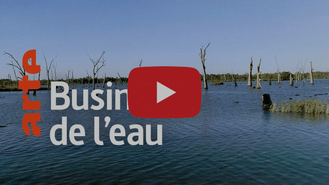 Le docu : Comme un requin (de la finance) dans l&rsquo;eau