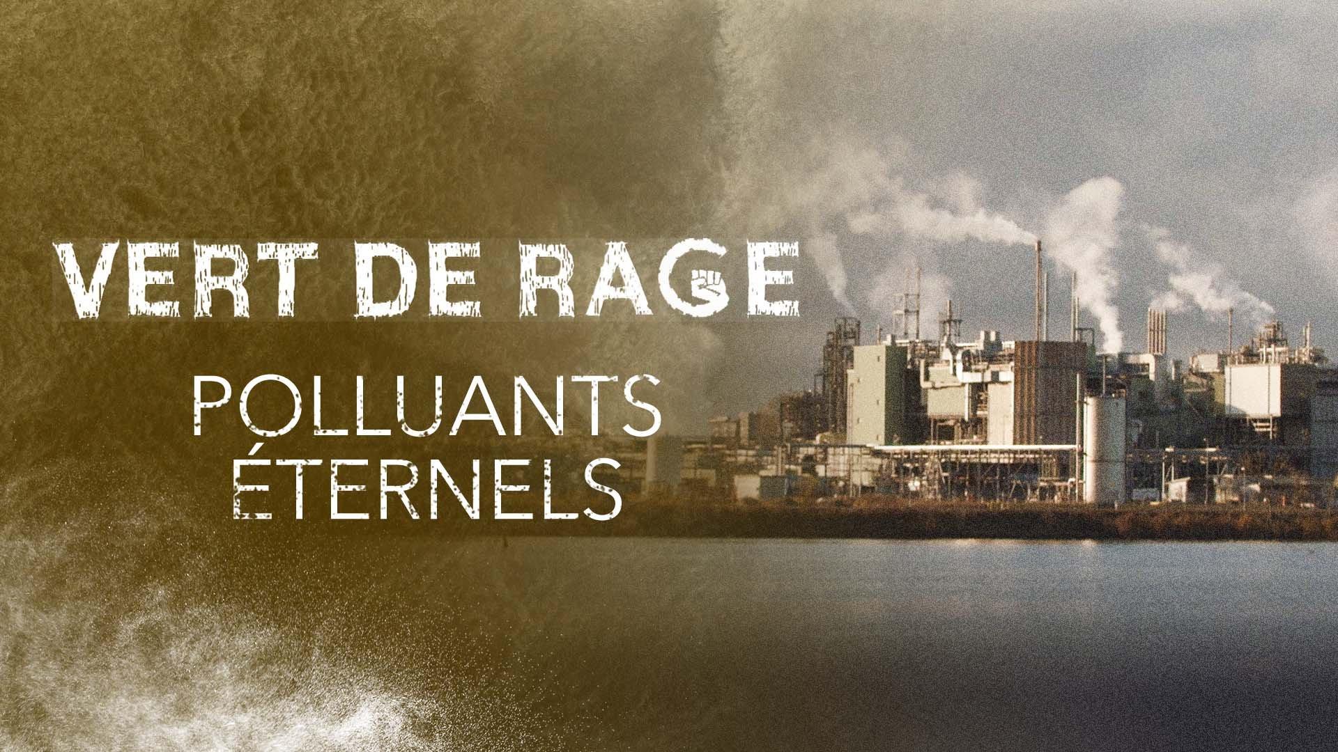 Vert de rage enquête sur les « Polluants éternels »