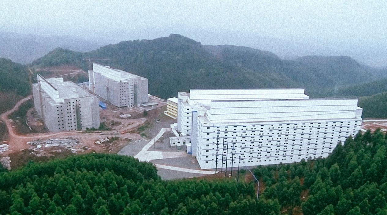 La consommation de viande et le low cost essorent l&rsquo;ensemble du vivant