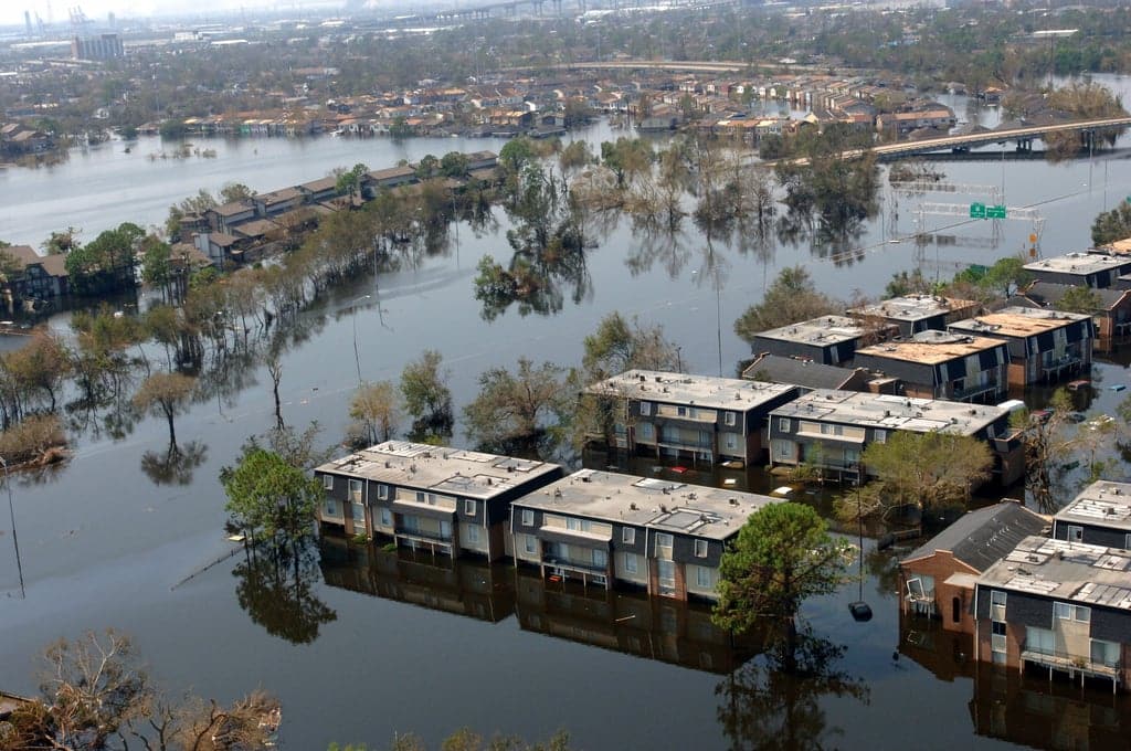 Des employés de l’agence fédérale de gestion des catastrophes naturelles mis à pied après avoir critiqué la politique de Trump dans une lettre ouverte