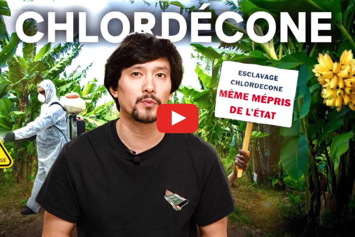 «Colonialisme chimique» : la chaîne Youtube Histoires Crépues plonge au cœur du scandale du chlordécone