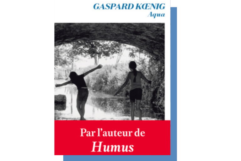 Dans son dernier roman «Aqua», Gaspard Koenig nous offre une plongée en eaux troubles sur fond de bataille municipale