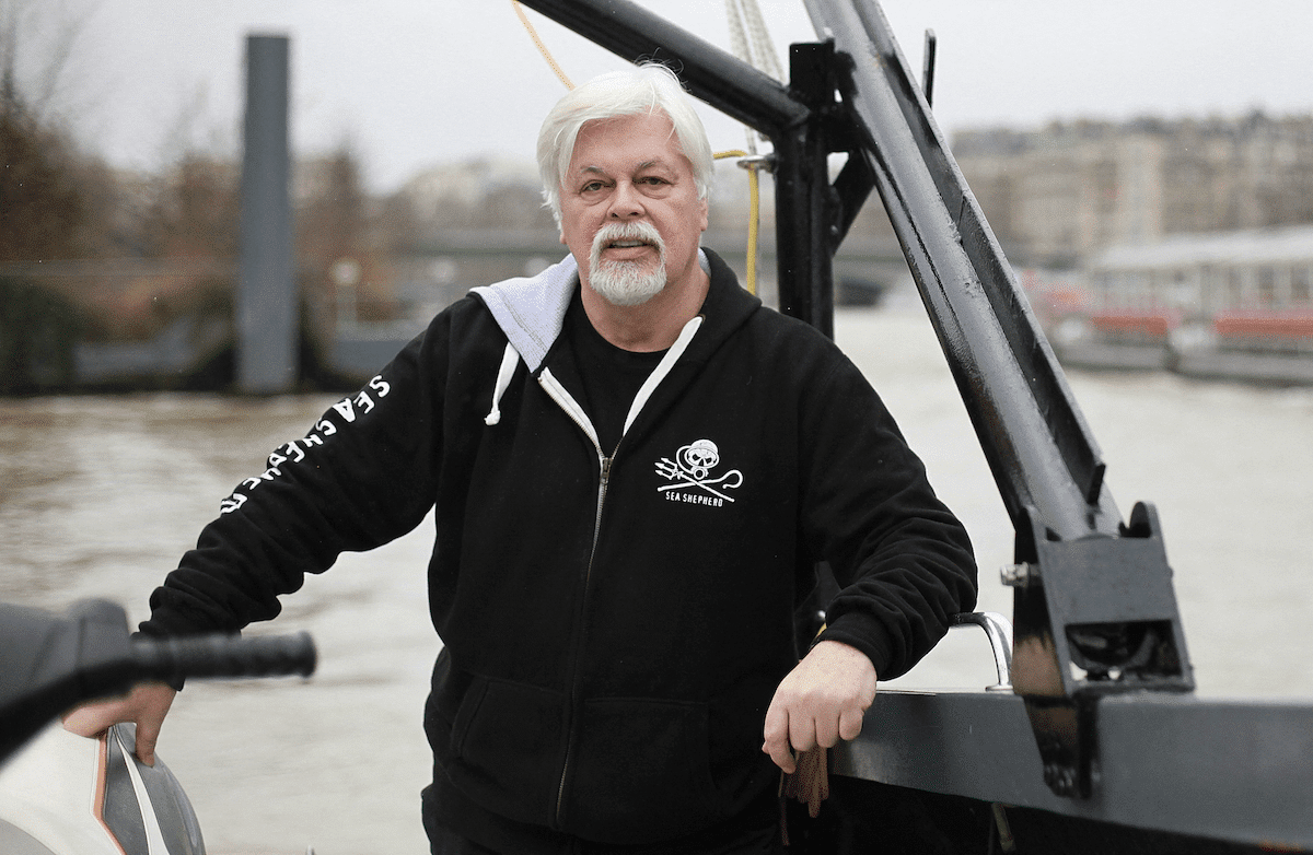 Affaire Paul Watson : la notice rouge d’Interpol contre le défenseur des baleines suspendue