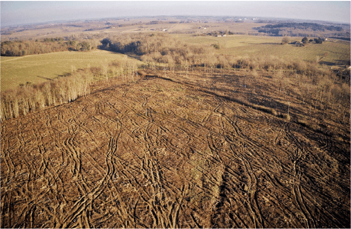 Le plan de relance sert à industrialiser la forêt française