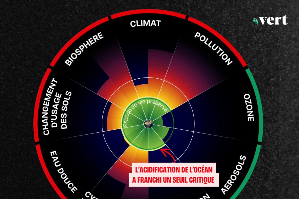Une septième limite planétaire est franchie, l’acidification des océans : «C’est un avertissement scientifique sévère»