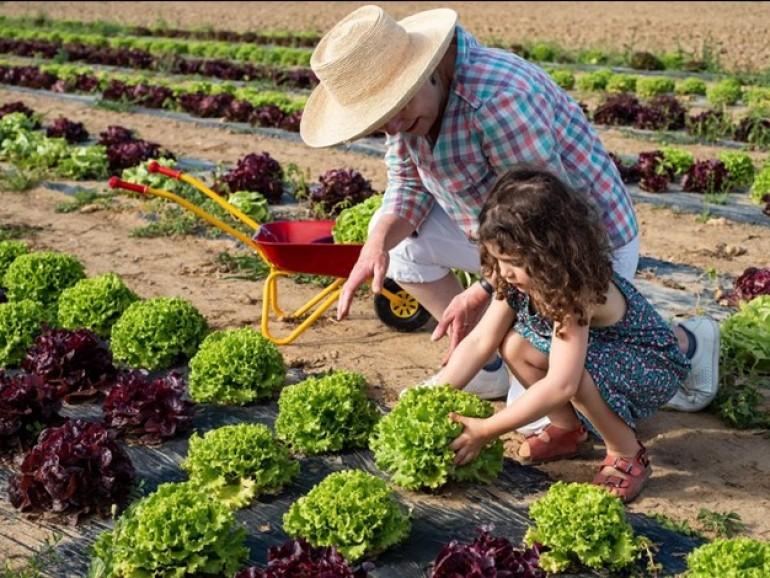 L’écrasante majorité des Français est prête à tout changer – ou presque – pour lutter contre la crise climatique