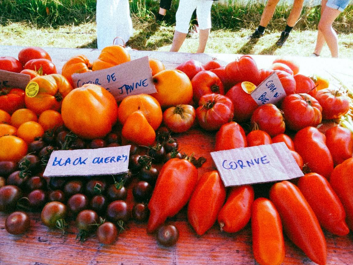 A Rennes, une maison de la semence paysanne pour s&rsquo;adapter au réchauffement