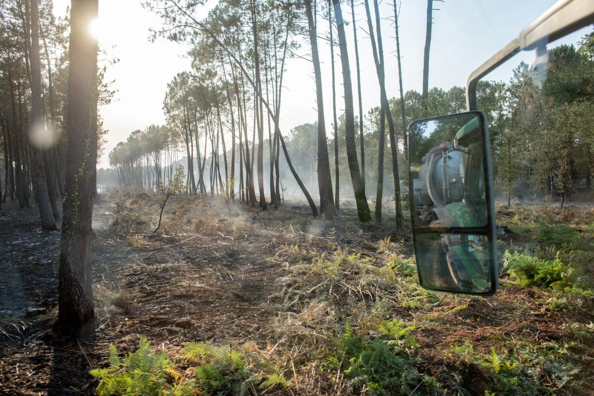 Face aux sécheresses et aux incendies qui se multiplient, comment les forêts feront-elles face au bouleversement du climat ?