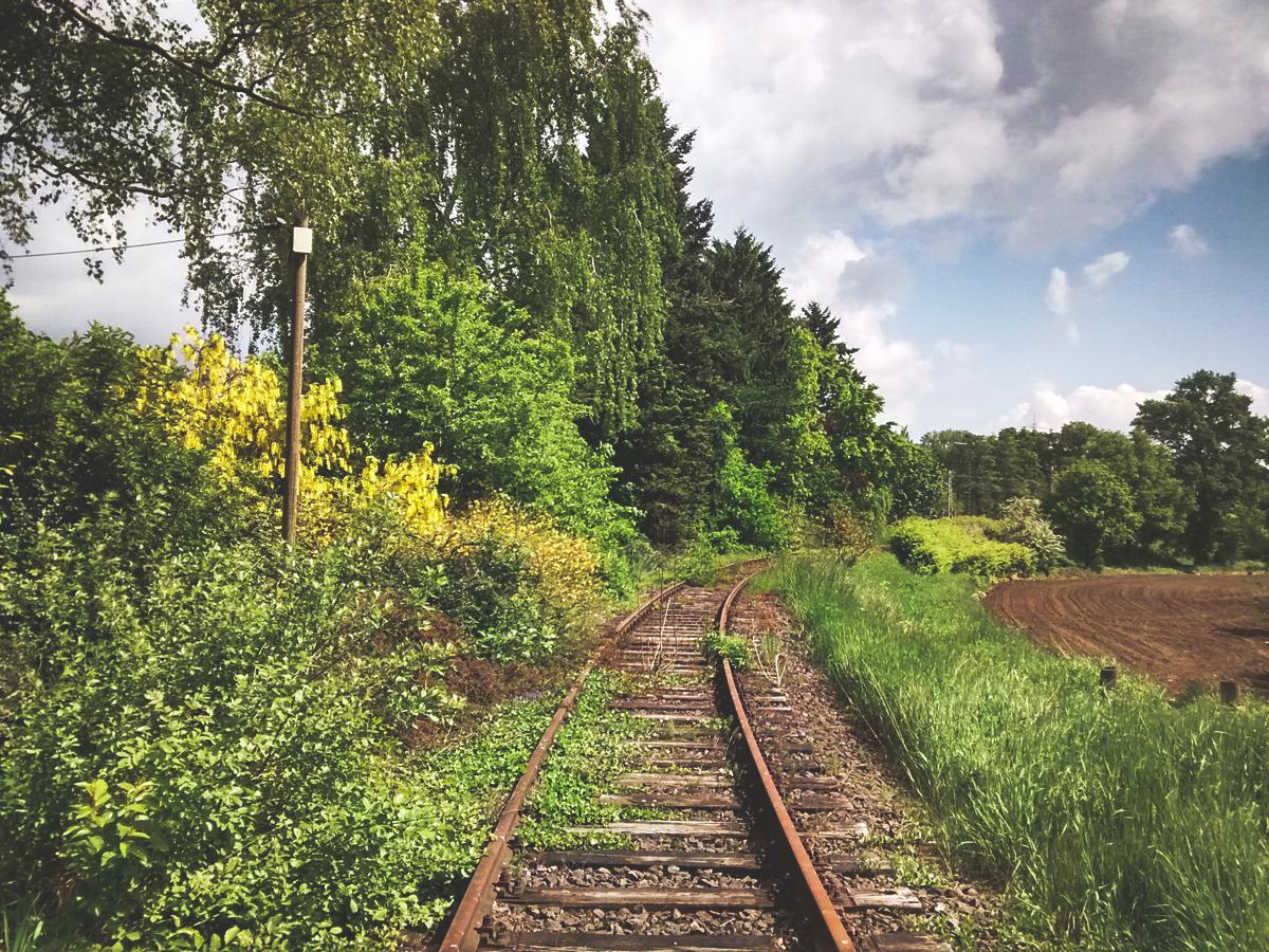La SNCF n’utilisera plus de glyphosate sur ses milliers de kilomètres de voies ferrées