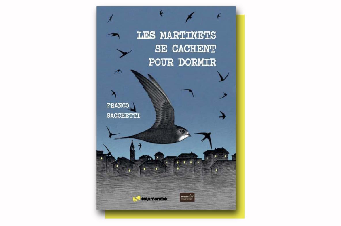 Les martinets se cachent pour dormir