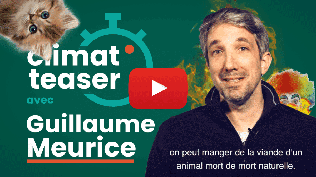 ► Les chatons, les clowns et la fin du monde : Climat teaser avec Guillaume Meurice