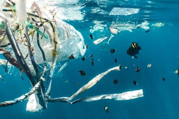 Plastiques : où en est le projet de traité mondial pour lutter contre cette pollution massive ?
