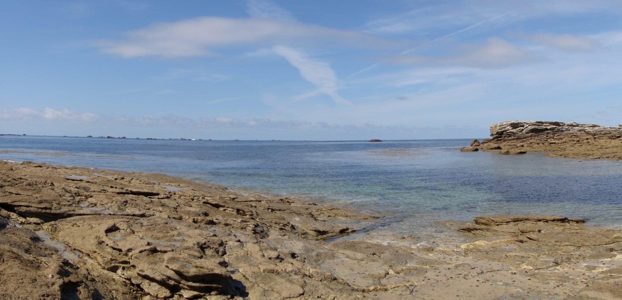 Le scandale des aires marines protégées