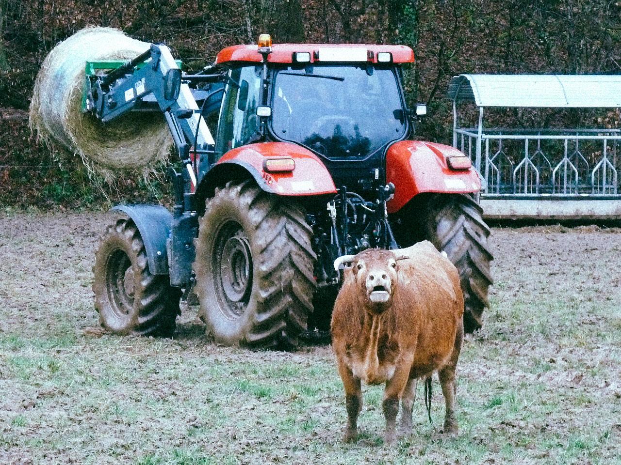La PAC ne permet pas de lutter contre le bouleversement du climat