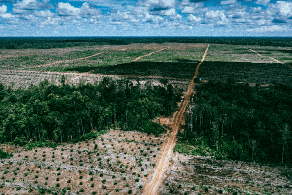 2010 – 2020 : l&rsquo;échec mondial des objectifs d&rsquo;Aichi pour la biodiversité
