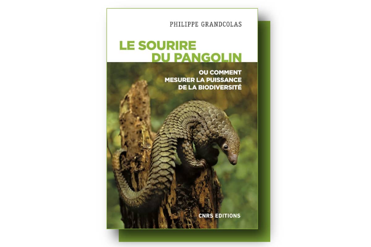 « Le sourire du pangolin » : tout comprendre à la biodiversité en un limpide essai