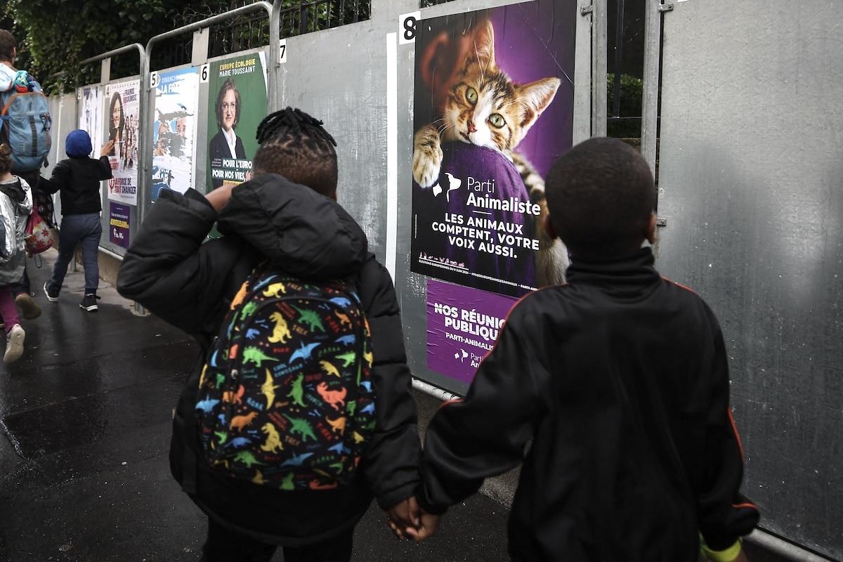 Élections européennes : les «petites listes» dessinent 50 nuances de vert