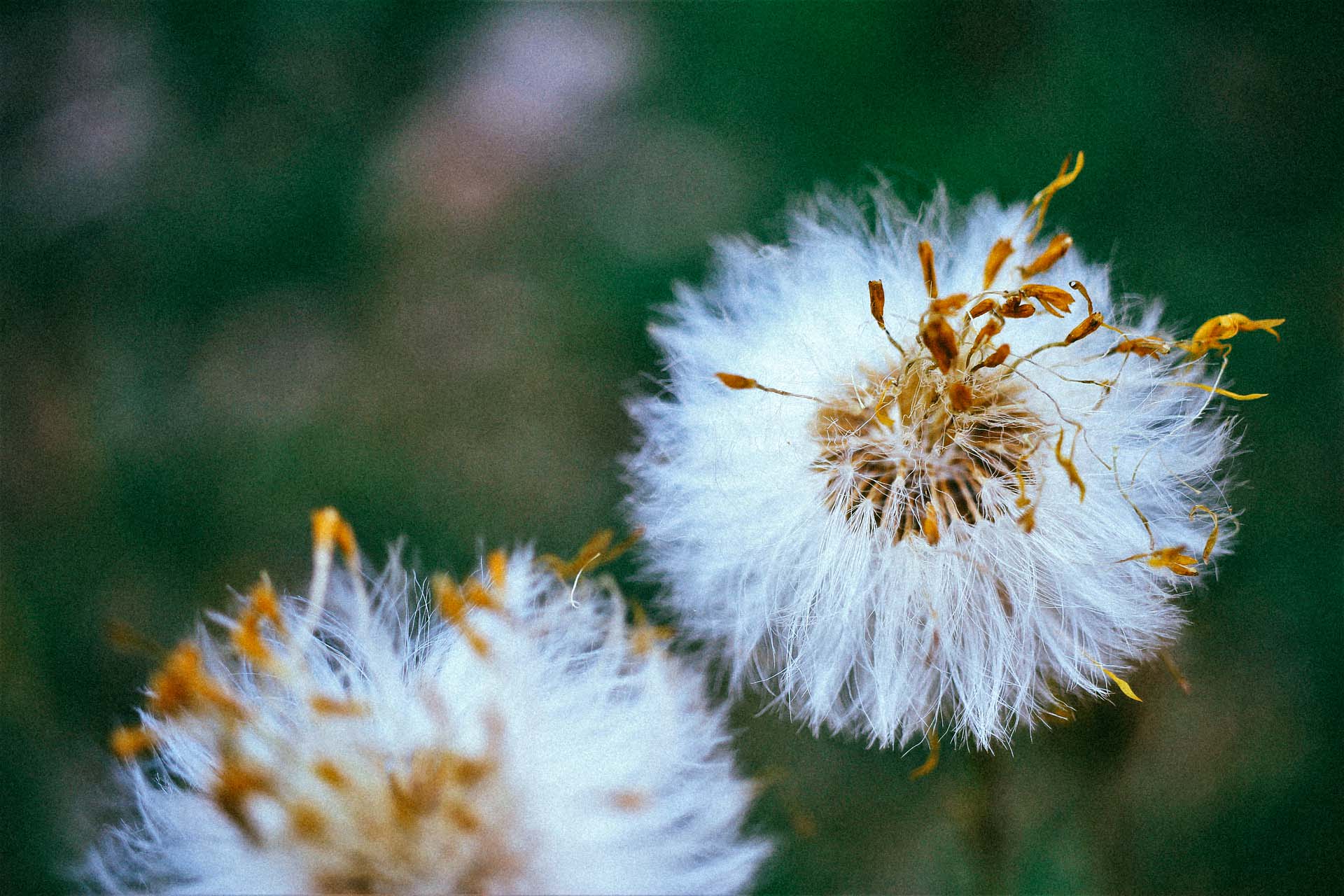 Le réchauffement nous monte au nez