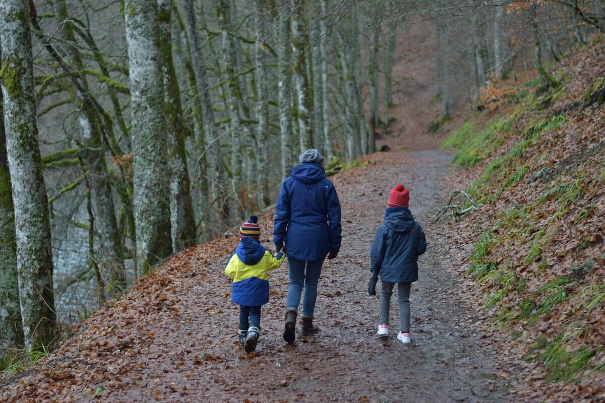 La balade en forêt est-elle menacée ?