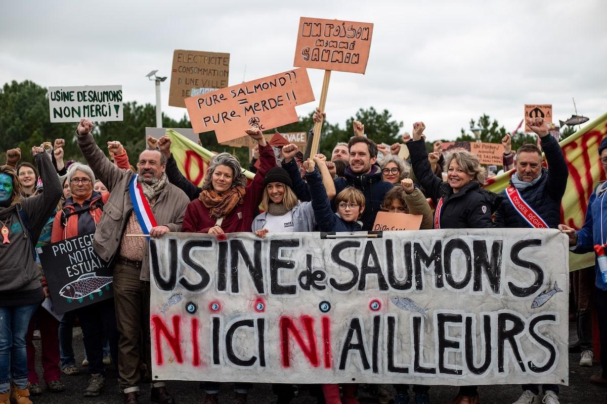 Des rives de l&rsquo;océan Atlantique aux couloirs de l&rsquo;Assemblée, la résistance aux fermes à saumons s&rsquo;organise