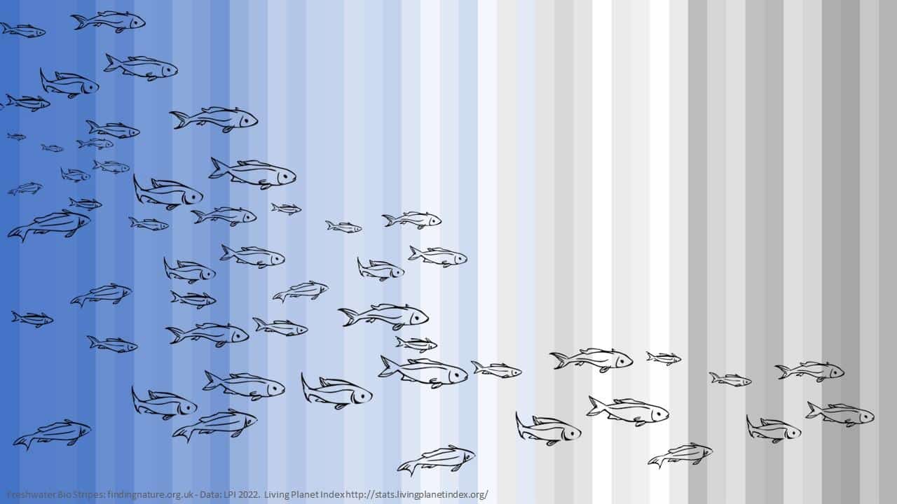 À l’image des « bandes du réchauffement climatique », un nouvel outil pour mieux (se) représenter l’effondrement du vivant