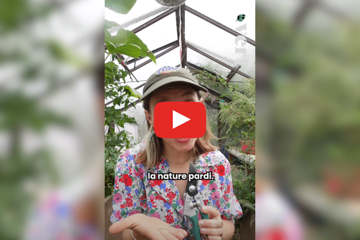 Les animaux sur le podium des JO