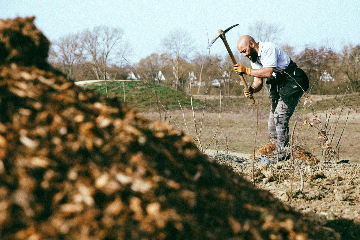Une forêt « Miyawaki » à Mulhouse