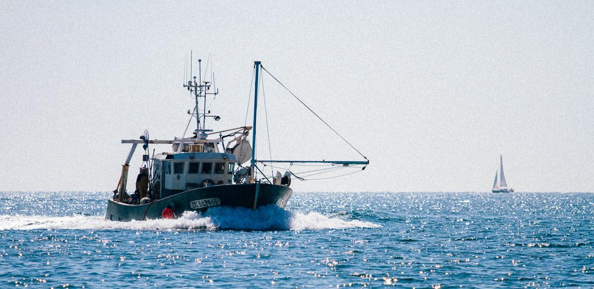 Interdire la pêche destructrice dans les aires marines protégées bénéficierait – aussi – à l’économie