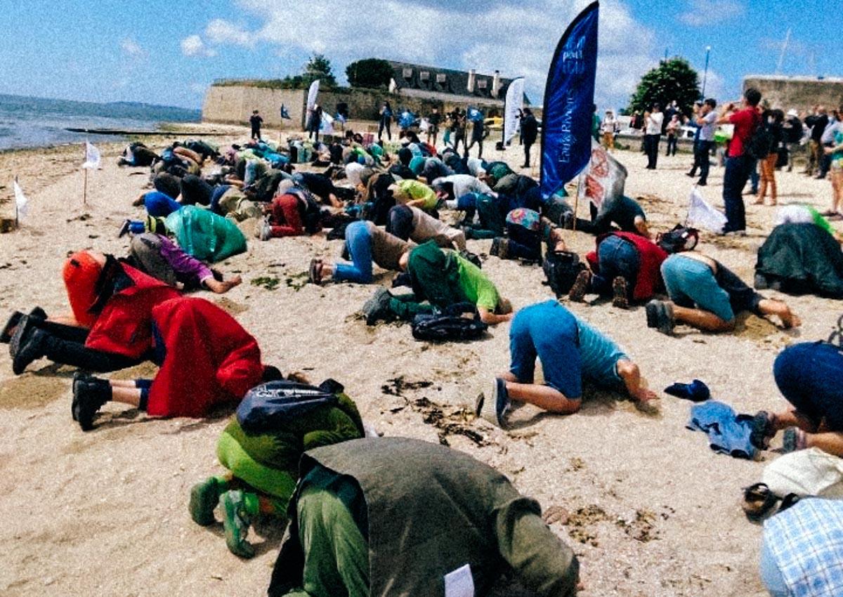 L’État condamné à agir contre les algues vertes en Bretagne