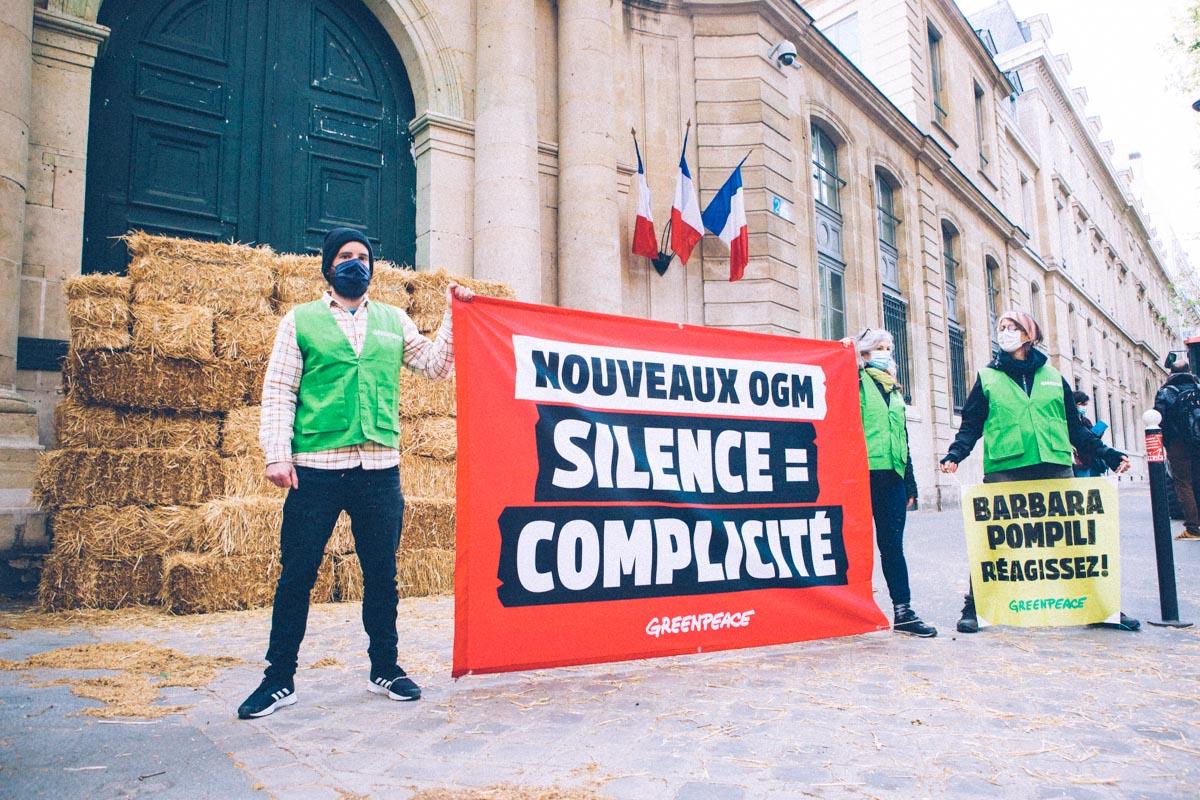 Les ONG montent au créneau contre les nouveaux OGM
