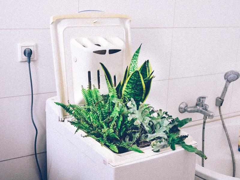 Le greenwashing fait florès sur internet