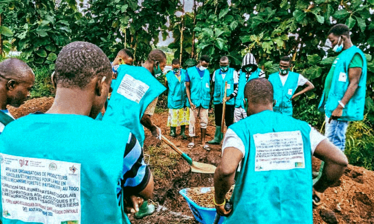 Au Togo, des fermes-écoles pour changer le monde agricole