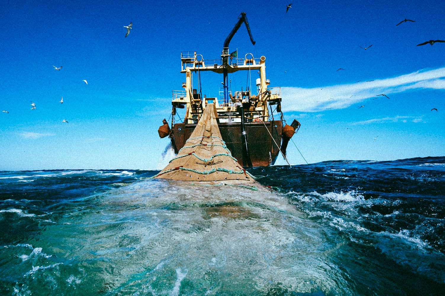 La France, encore loin de la pêche « durable »