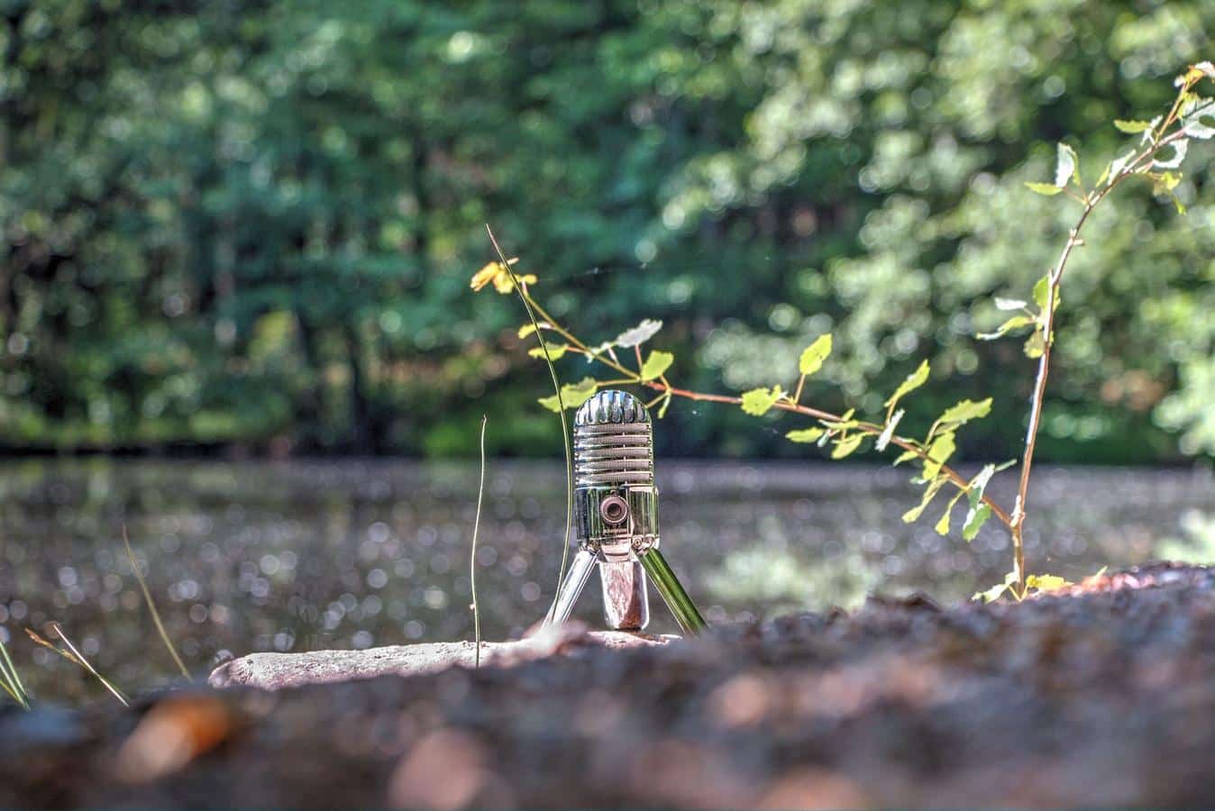 Et si l&rsquo;on écoutait mieux la nature ?