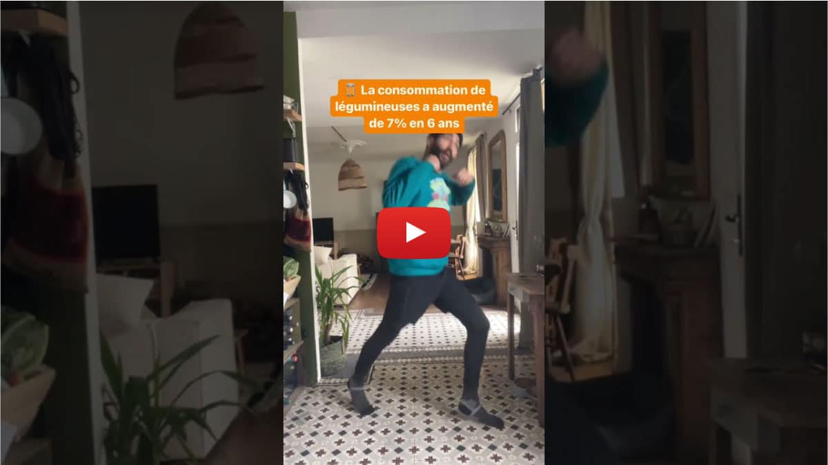 Ours bruns, PFAS et anacondas : les bonnes nouvelles de la semaine