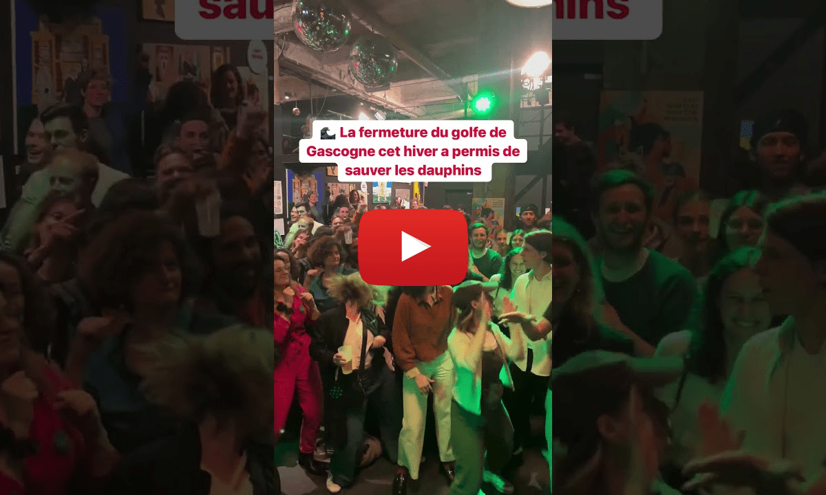 Baleines, charbon en déclin et anniversaire de Vert : les meilleures nouvelles de la semaine