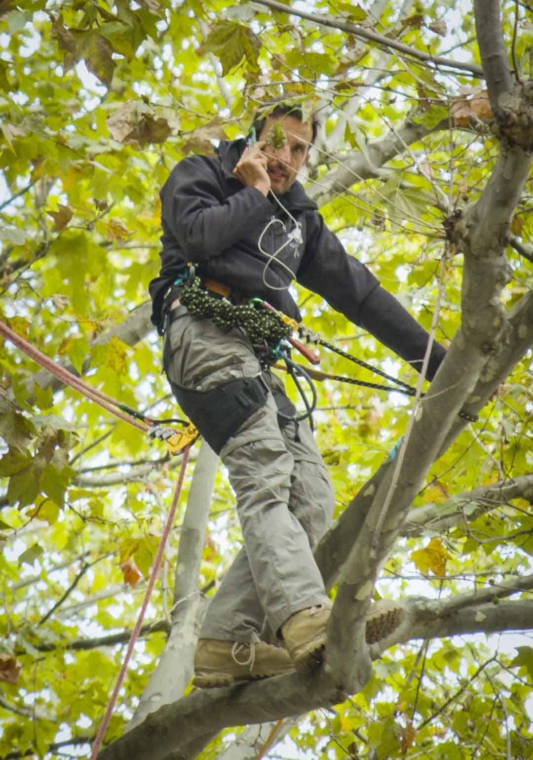 En lutte contre l’A69, le militant Thomas Brail s’est perché dans un arbre en face du ministère de l’écologie