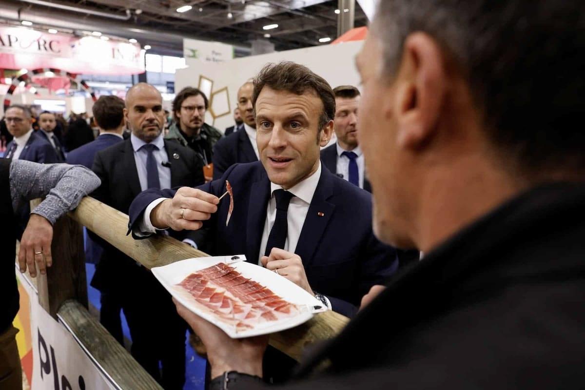 Souffrance animale, santé, CO2… L’association L214 appelle à diviser par deux notre consommation de viande d’ici à 2030